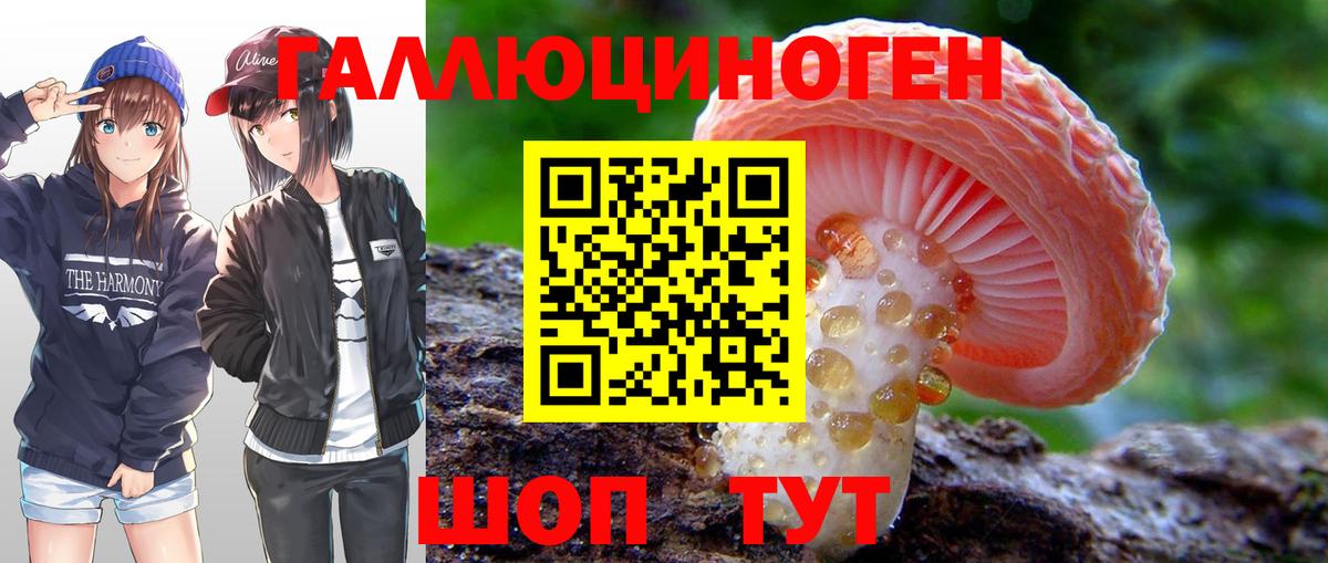 Галлюциногенные грибы Cubensis  купить наркотик  Петрозаводск  Галлюциногенные грибы ЛСД  Вход с VPN 