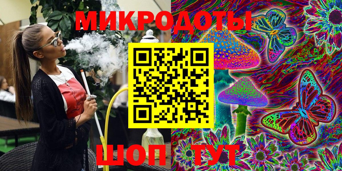 Псилоцибиновые грибы мицелий Петрозаводск